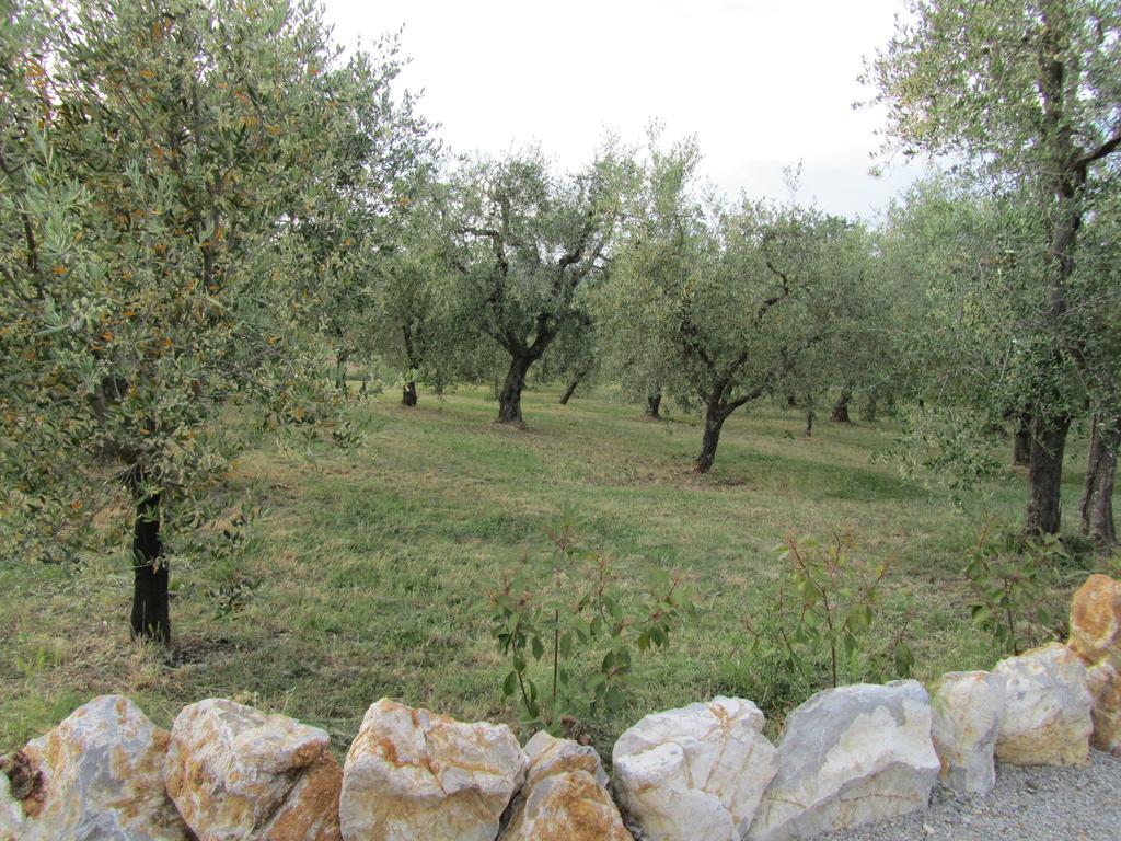 Agroturismo Borghetto Il Montino *