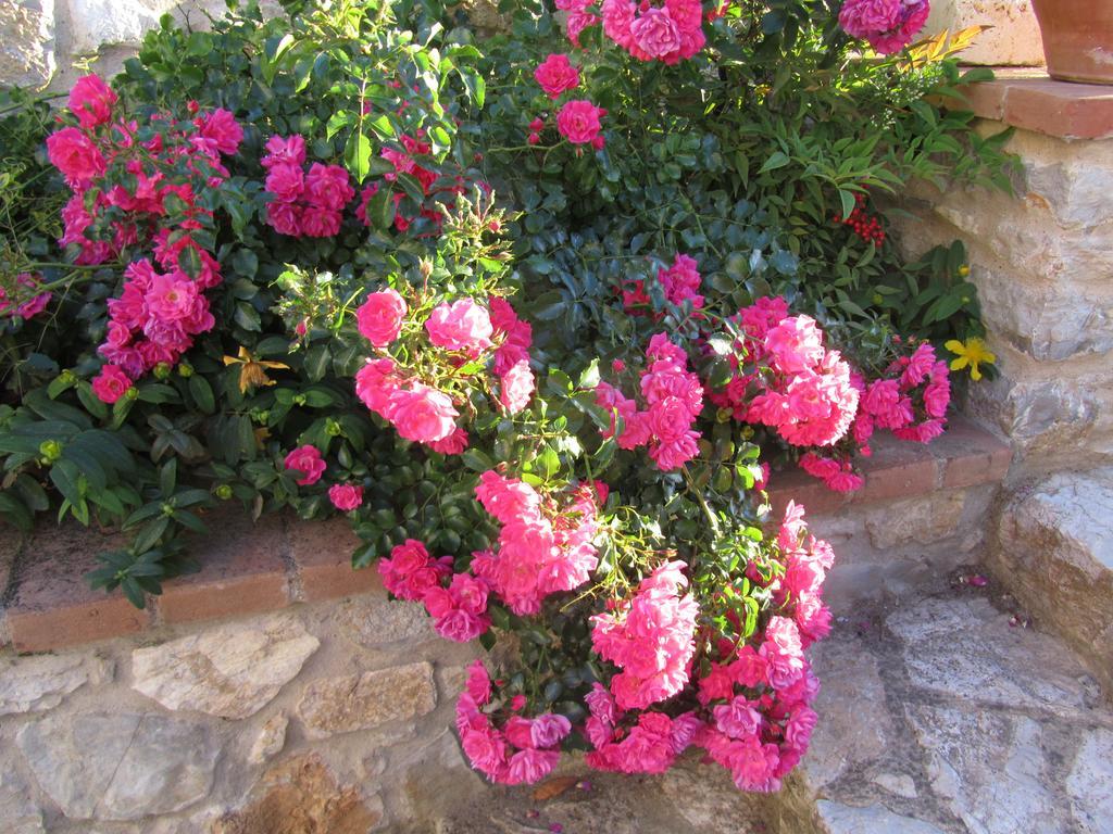 Agroturismo Borghetto Il Montino *