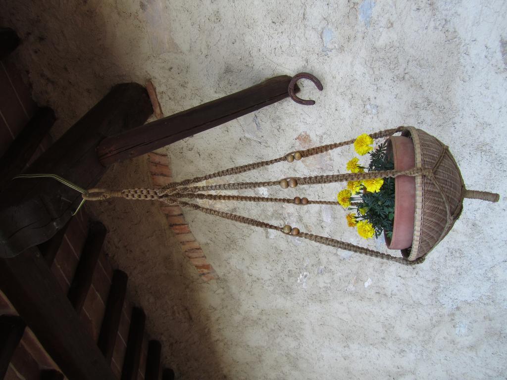 Borghetto Il Montino Agroturismo *