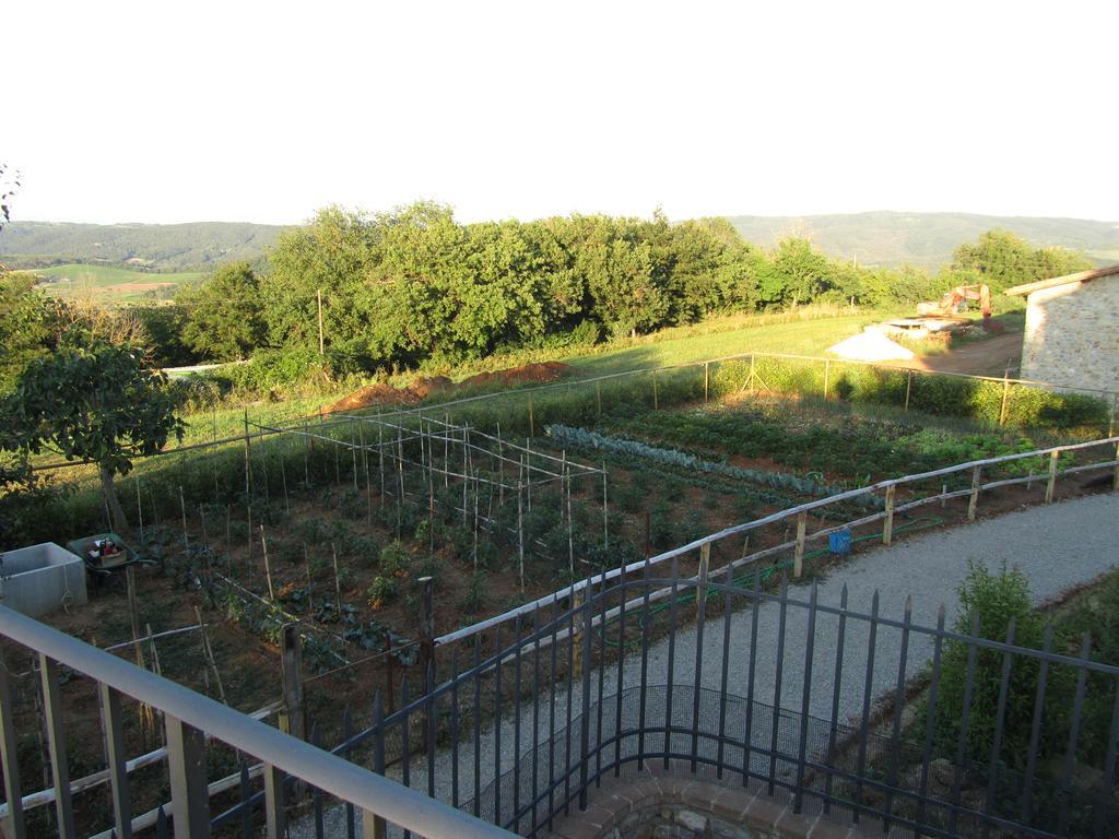 Borghetto Il Montino Agroturismo