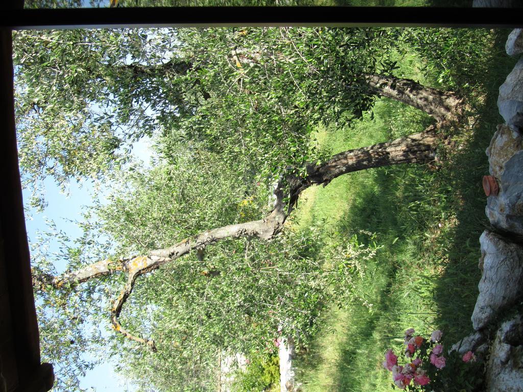 Agroturismo Borghetto Il Montino Rapolano Terme