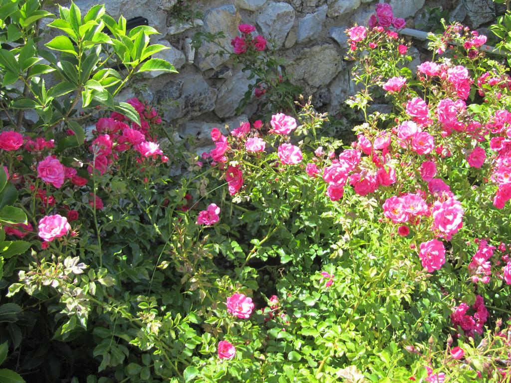 Agroturismo Borghetto Il Montino *