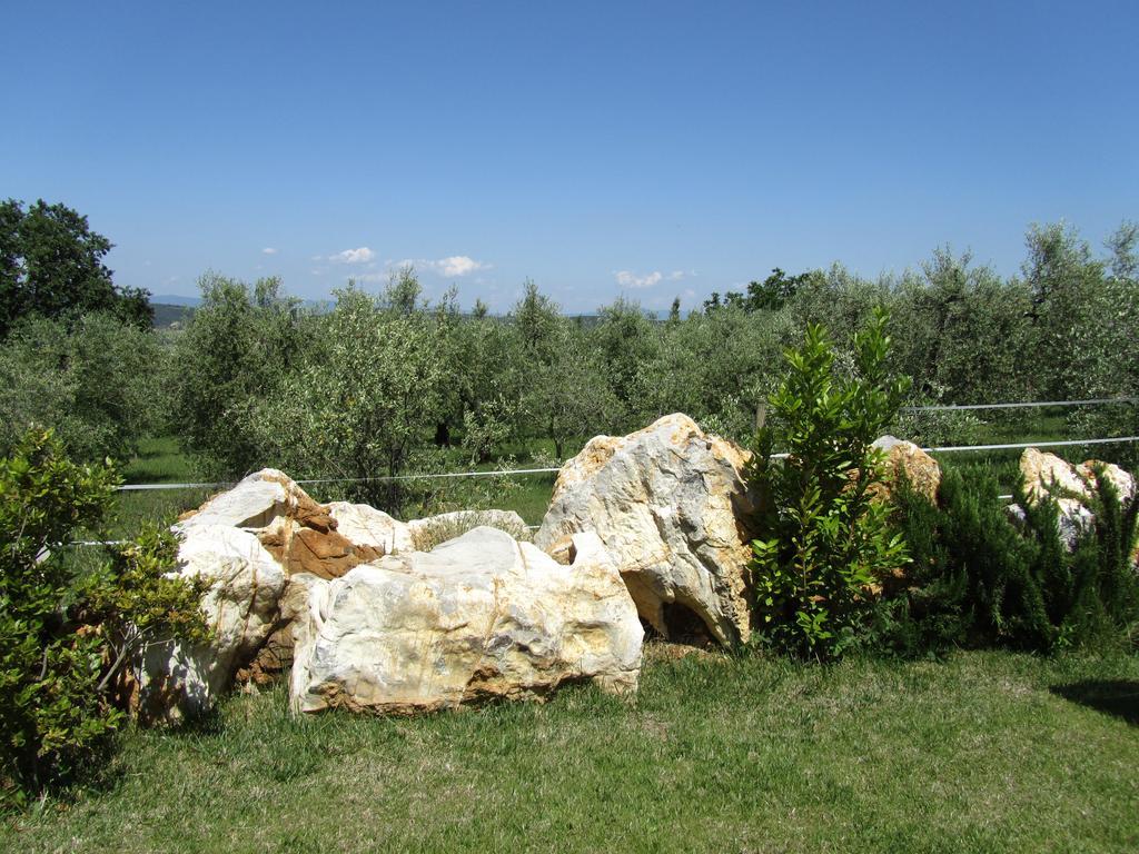 Borghetto Il Montino Alloggio per agriturismo *